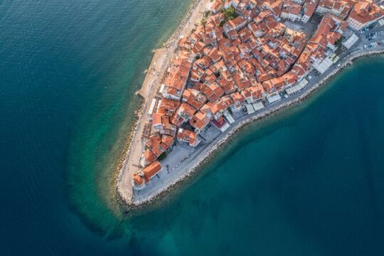 Slovenian Coast Guided Tour from Ljubljana