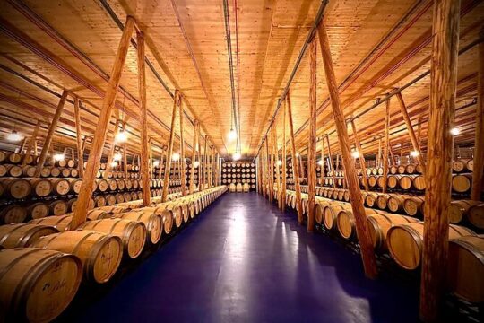 1 day retreat, Wine Tasting in Winery, Yoga in Vineyard and Lunch