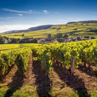 Day Trips & Excursions