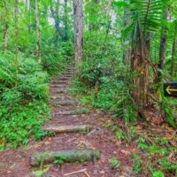 Walking Tours