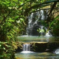 Sightseeing Tickets & Passes