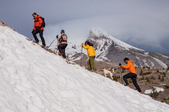 Mt. Hood Snowshoe Tour