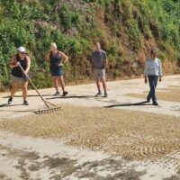 Plantation Tours