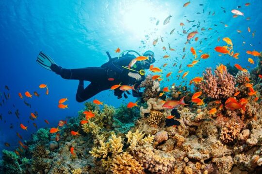 Marmaris Scuba Diving in crystal clear waters