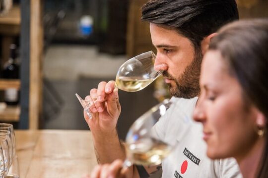 Private Guided Tour of Wine and History in Barcelona