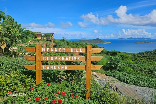 Island Eco Farm Tour with Local Treats and Sapphire Beach Time