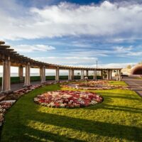 Private & Custom Tours