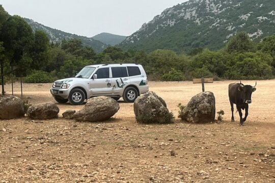 Golgo Plateau Jeep Tour from Arbatax