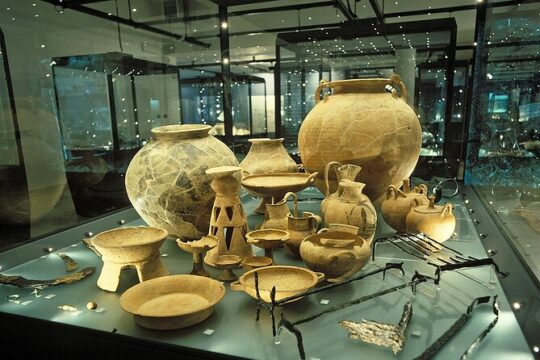 Tour of the archaeological area of Policoro