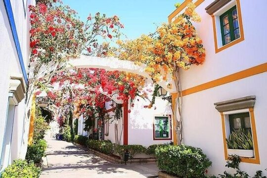 Visit Puerto de Mogan and Its Market with One Way Boat Ride