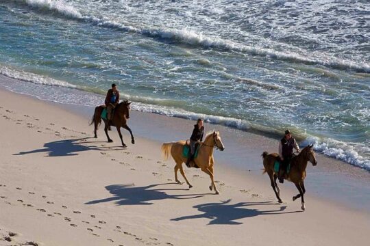 Horseback Riding Tour from Punta Cana