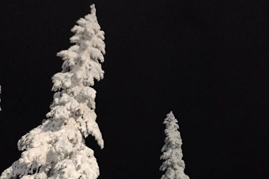 North Vancouver Evening Snowshoe Tour with Local Guide