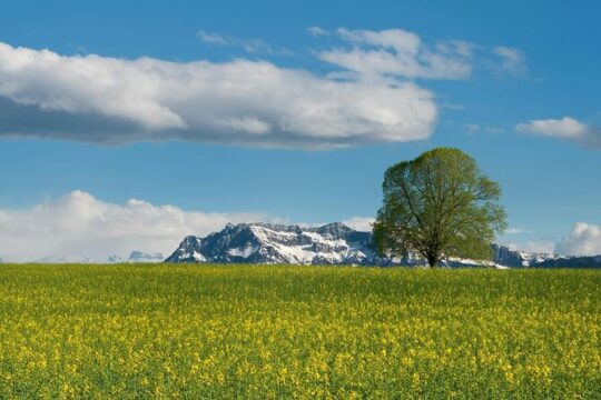 Mt Titlis with Swiss Travel Pass