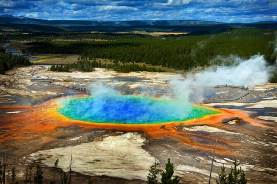 Yellowstone Lower Loop Luxury Full Day Tour