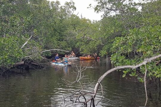 One Way Ticket To Paradise Ft. Lauderdale Exploration Paddle Tour