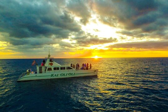 Sunset Dolphin Watch and Snorkeling Cruise Tour