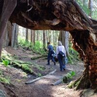 Hiking & Camping