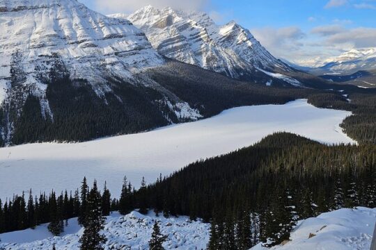 Winter Wonderland Private Tour