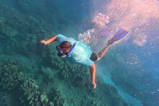 Hanauma Bay Guided Snorkel Tour (with guaranteed entrance time)