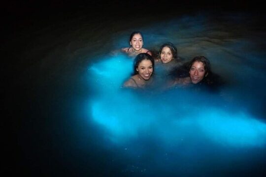 Luminous Lagoon Night Tour