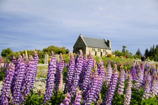 Mount Cook & Lake Tekapo 2-Day Stargazing tour from Christchurch