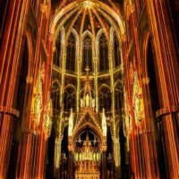 Light & Sound Shows