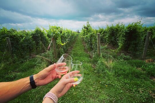 A Twilight Wine Adventure with 3-Course Dinner