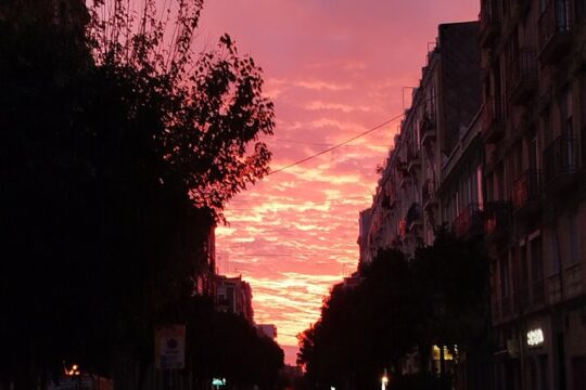 Mystical Valencia Secrets of the City and Tarot Insights