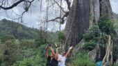 Day tour around  Tobago