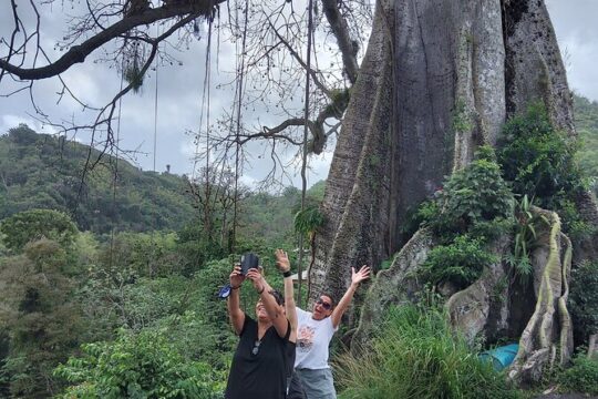Full Day Tour in Tobago Island with Lunch