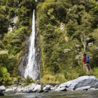 Bus & Minivan Tours