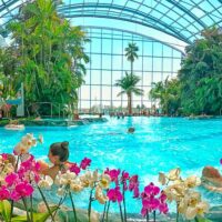Theme Park Tickets & Tours