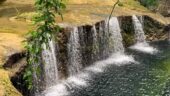 Rainforest waterfall