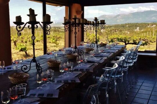 North Attica private wine tour