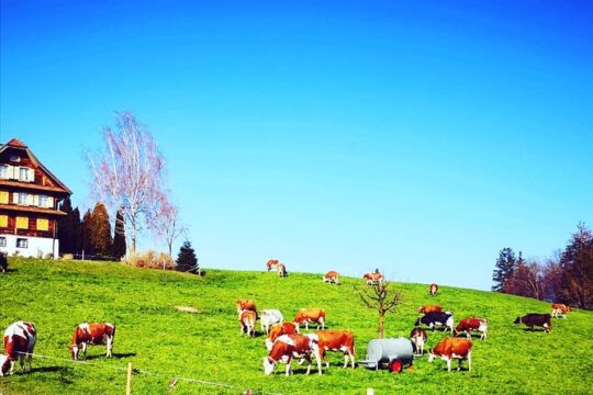 Appenzell and Liechtenstein Tour from Luzern