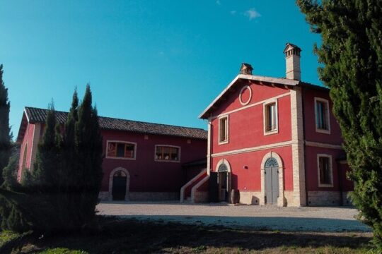 Visit and Tasting at Erasmo's Wine Cellar among Author Wines