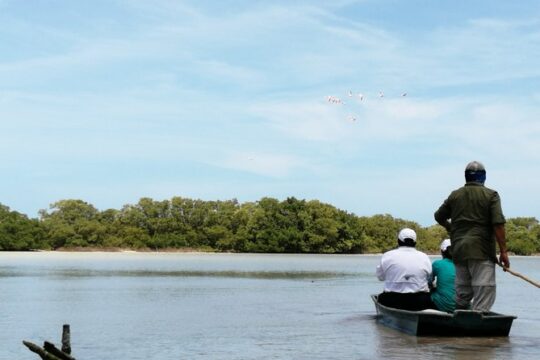 Private tour at Sisal Beach