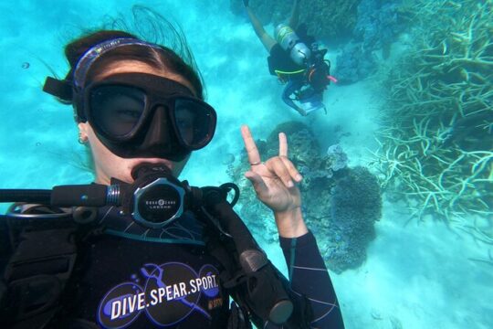Outer Reef Scuba Diving Day Tour from Agnes Water 1770