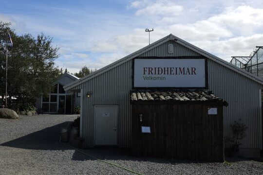 Golden Circle with Lunch at Friedhamer and Bath at Secret Lagoon