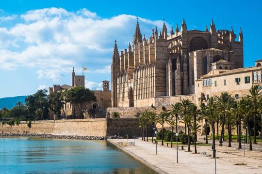 Palma de Mallorca Walking Tour with Local Food Tastings