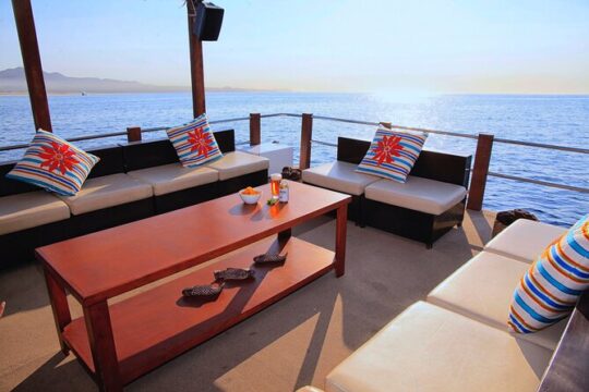 Private Catamaran Rental 20 PAX with Snorkeling, Paddle, Water Mat and More Fun