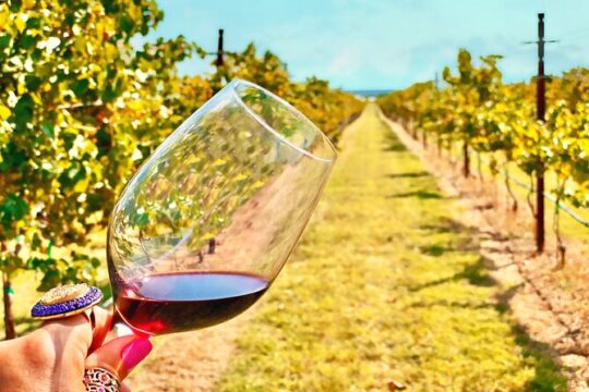 Fredericksburg Private Mercedes SUV Wine Tour for up to 5 Guests