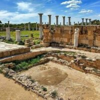 Private & Custom Tours