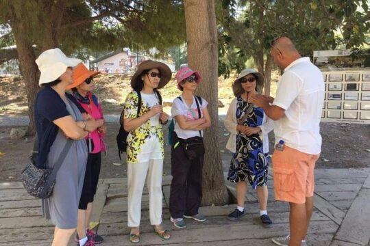 Full Day Ephesus Tour for Cruise Passengers