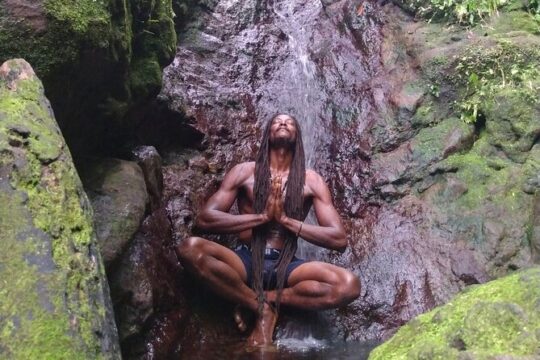 Rainforest Waterfall Hike with Rastafarian Nature Guide
