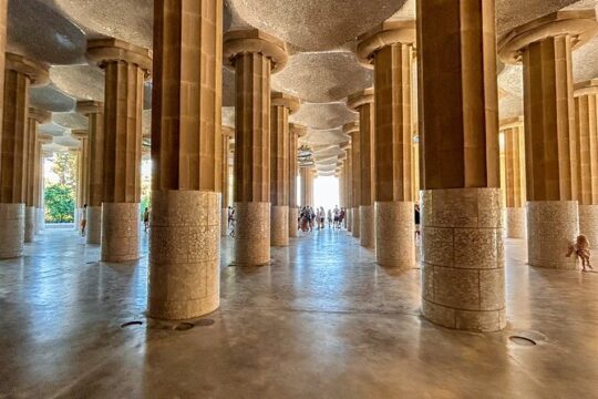 Afternoon Tour of Park Güell