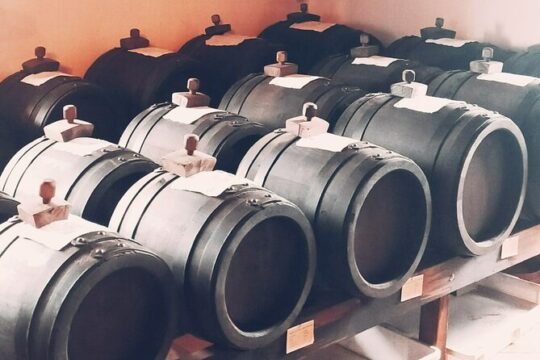 Private Balsamic vinegar & Parmigiano Reggiano factory visits