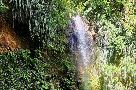 Private Guided Tour in Soufriere with Transfers and Lunch