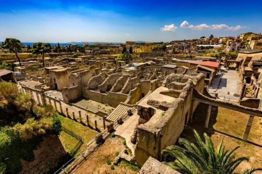 Half Day Herculaneum and Pompeii Tour from Positano