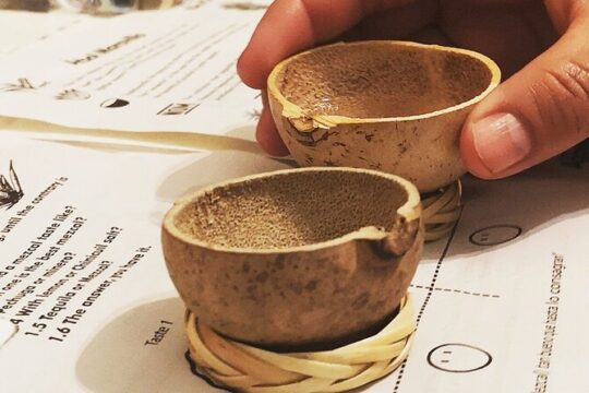 Traditional Mezcal Tasting VIP Experience Cancun Playa or Tulum